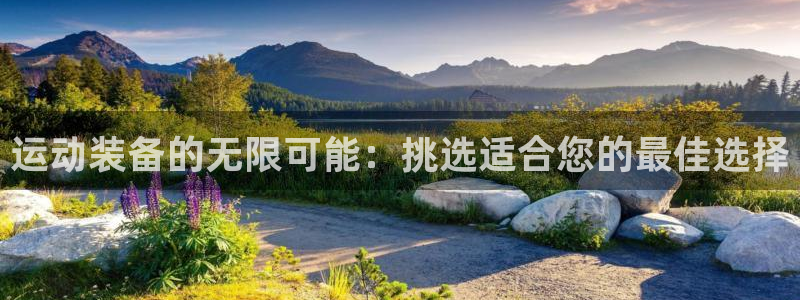 球王会体育官网下载平台假的吗是真的吗:运动装备的无限可能:挑