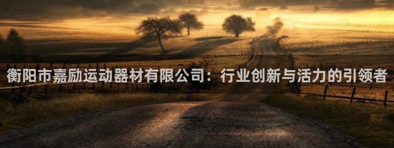 球王会体育官网下载平台注册流程图:衡阳市嘉励运动器材有限公司