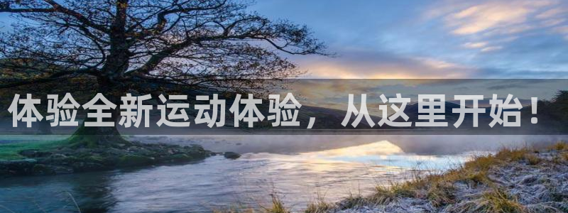 球王会体育官方正版app集团logo:体验全新运动体验,从这