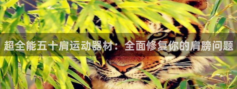 球王会体育官方正版app官网:超全能五十肩运动器材:全面修复